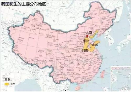 高清国产区,探索视觉艺术的无限魅力