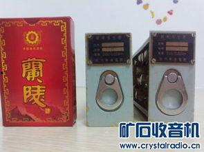 国产精品入